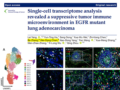 【IF=13.751】廣東省人民醫(yī)院肺癌研究所團(tuán)隊(duì)與烈冰合作解析EGFR突變型肺腺癌免疫微環(huán)境