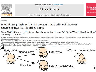 【IF=11.783】烈冰助力中科院課題組糖尿病飲食干預(yù)新療法研究