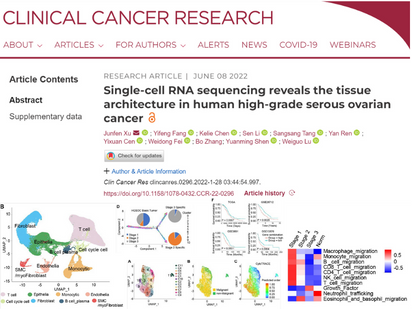 【烈冰助力CCR第二彈】單細胞測序揭示人類高級別漿液性卵巢癌的組織結(jié)構(gòu)