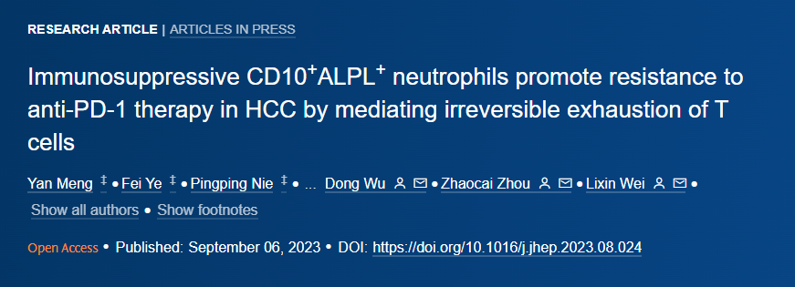 肝癌頂刊 Journal of Hepatology（IF 25.7）發(fā)現(xiàn)中性粒細胞與肝細胞癌（HCC）的免疫治療耐藥相關