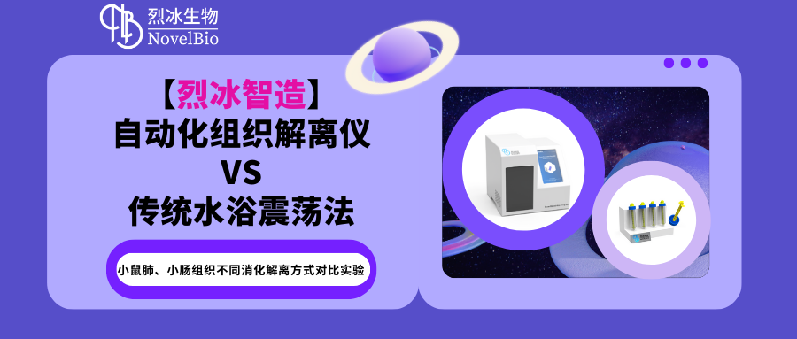 小鼠肺、小腸組織不同消化解離方式對比實驗