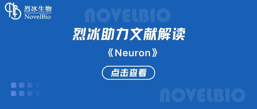 【烈冰助力】腫瘤-神經(jīng)交界處的鉀離子通道增強癲癇膠質(zhì)母細胞瘤的神經(jīng)元興奮性