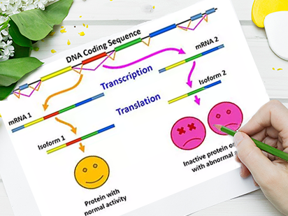 烈冰生物再發(fā)高效檢測(cè)可變簡(jiǎn)介的新算法CASH!