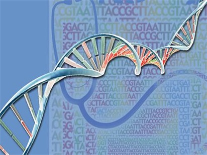 RNA-seq研究SS9-LysM元件在豬鏈球菌致病過程中的分子機(jī)制